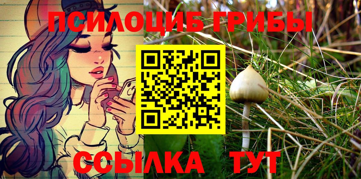 Галлюциногенные грибы прущие грибы Апатиты